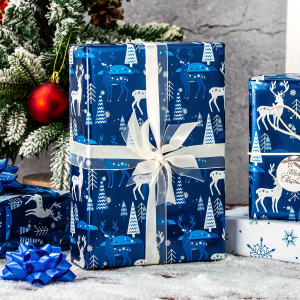 Blue Christmas wrapping paper rolls